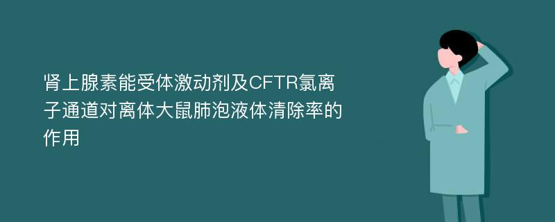 肾上腺素能受体激动剂及CFTR氯离子通道对离体大鼠肺泡液体清除率的作用