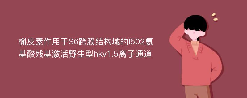 槲皮素作用于S6跨膜结构域的I502氨基酸残基激活野生型hkv1.5离子通道