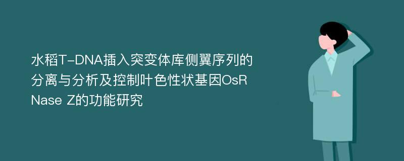 水稻T-DNA插入突变体库侧翼序列的分离与分析及控制叶色性状基因OsRNase Z的功能研究