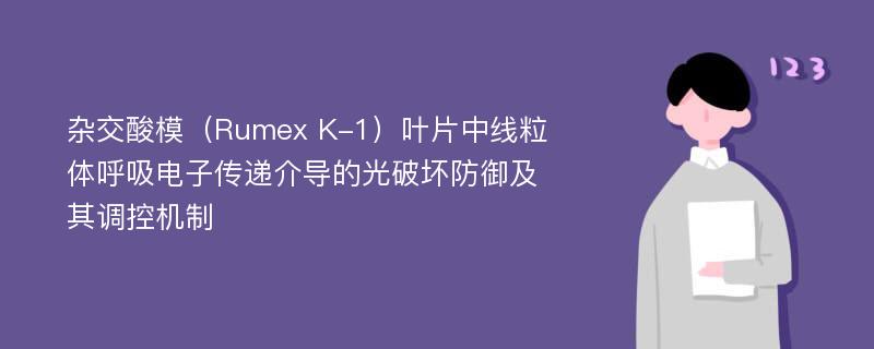 杂交酸模（Rumex K-1）叶片中线粒体呼吸电子传递介导的光破坏防御及其调控机制