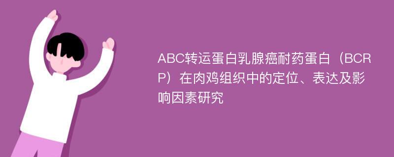 ABC转运蛋白乳腺癌耐药蛋白（BCRP）在肉鸡组织中的定位、表达及影响因素研究