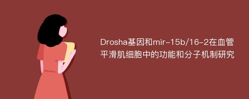 Drosha基因和mir-15b/16-2在血管平滑肌细胞中的功能和分子机制研究