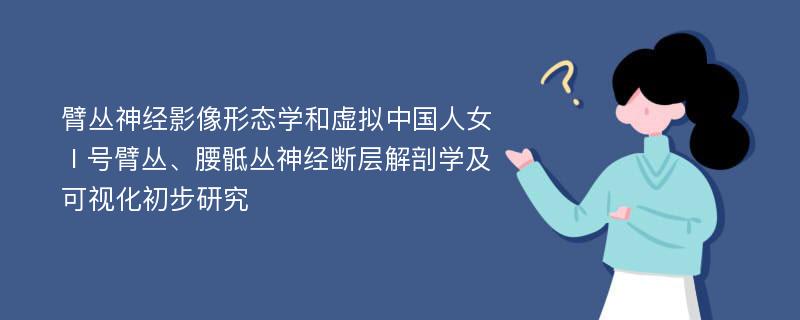 臂丛神经影像形态学和虚拟中国人女Ⅰ号臂丛、腰骶丛神经断层解剖学及可视化初步研究