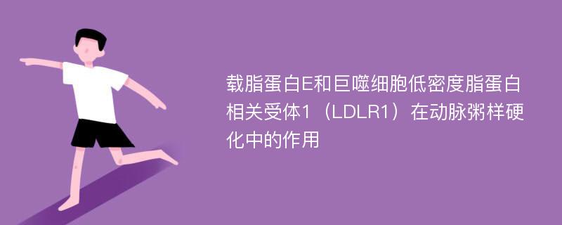 载脂蛋白E和巨噬细胞低密度脂蛋白相关受体1（LDLR1）在动脉粥样硬化中的作用