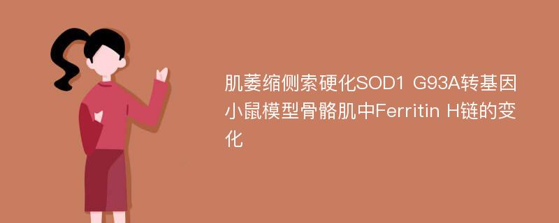 肌萎缩侧索硬化SOD1 G93A转基因小鼠模型骨骼肌中Ferritin H链的变化