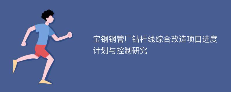 宝钢钢管厂钻杆线综合改造项目进度计划与控制研究