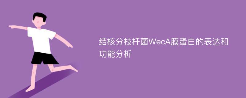 结核分枝杆菌WecA膜蛋白的表达和功能分析