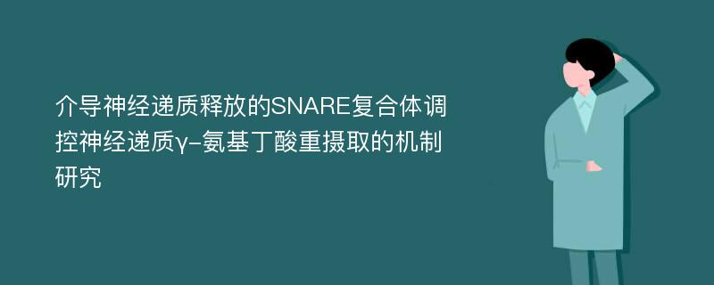 介导神经递质释放的SNARE复合体调控神经递质γ-氨基丁酸重摄取的机制研究