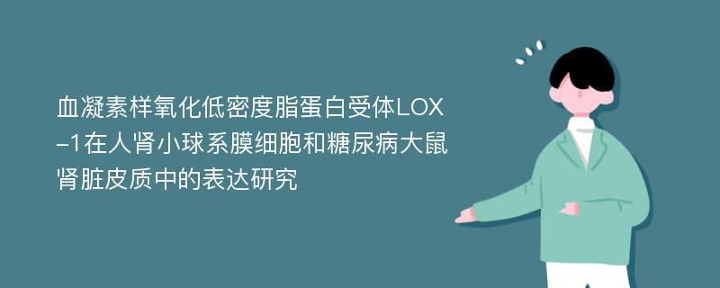 血凝素样氧化低密度脂蛋白受体LOX-1在人肾小球系膜细胞和糖尿病大鼠肾脏皮质中的表达研究