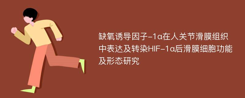 缺氧诱导因子-1α在人关节滑膜组织中表达及转染HIF-1α后滑膜细胞功能及形态研究