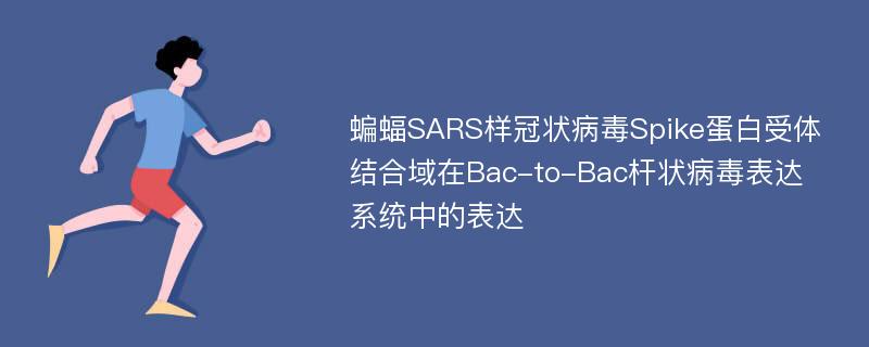 蝙蝠SARS样冠状病毒Spike蛋白受体结合域在Bac-to-Bac杆状病毒表达系统中的表达