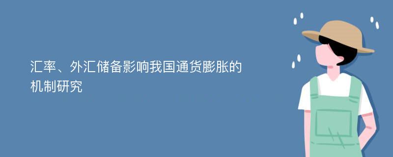 汇率、外汇储备影响我国通货膨胀的机制研究