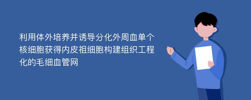 利用体外培养并诱导分化外周血单个核细胞获得内皮祖细胞构建组织工程化的毛细血管网