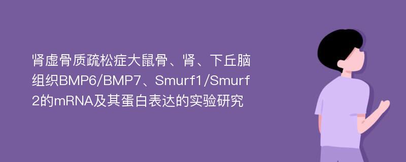 肾虚骨质疏松症大鼠骨、肾、下丘脑组织BMP6/BMP7、Smurf1/Smurf2的mRNA及其蛋白表达的实验研究