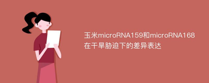 玉米microRNA159和microRNA168在干旱胁迫下的差异表达