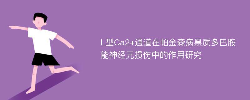 L型Ca2+通道在帕金森病黑质多巴胺能神经元损伤中的作用研究