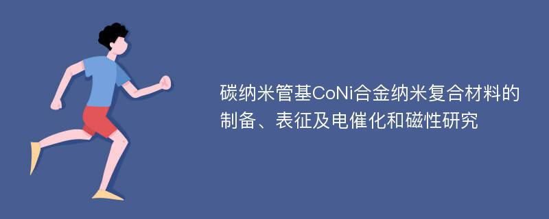 碳纳米管基CoNi合金纳米复合材料的制备、表征及电催化和磁性研究