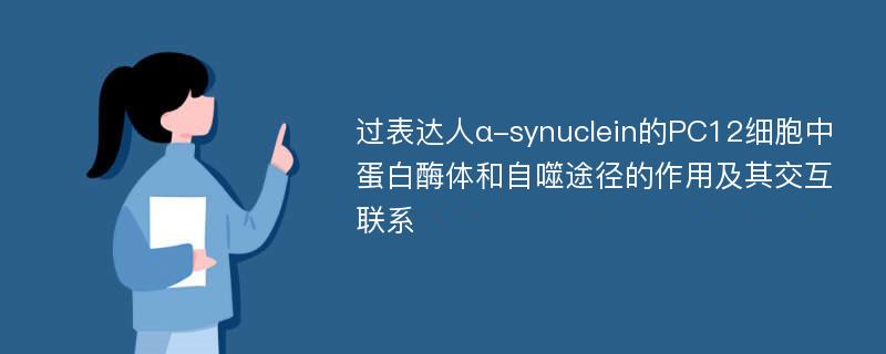 过表达人α-synuclein的PC12细胞中蛋白酶体和自噬途径的作用及其交互联系