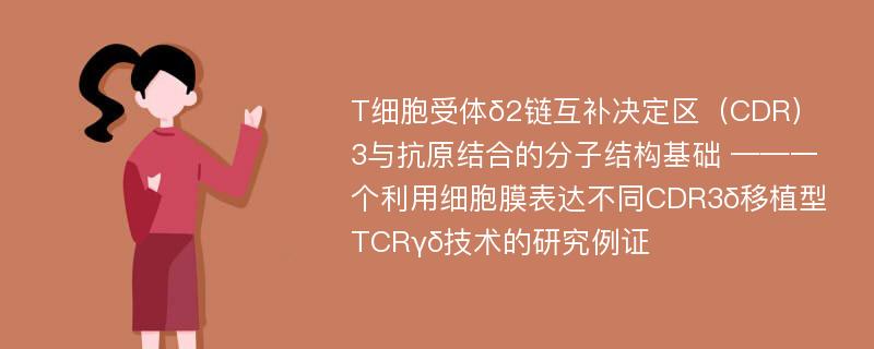 T细胞受体δ2链互补决定区（CDR）3与抗原结合的分子结构基础 ——一个利用细胞膜表达不同CDR3δ移植型TCRγδ技术的研究例证