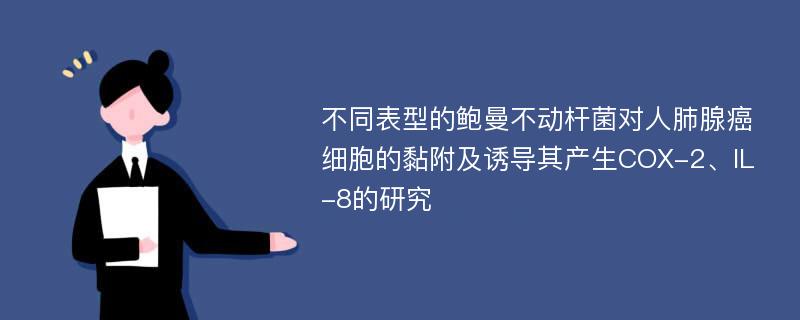 不同表型的鲍曼不动杆菌对人肺腺癌细胞的黏附及诱导其产生COX-2、IL-8的研究