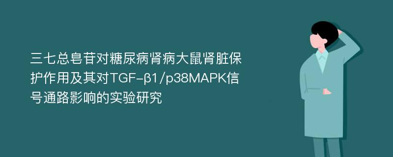 三七总皂苷对糖尿病肾病大鼠肾脏保护作用及其对TGF-β1/p38MAPK信号通路影响的实验研究