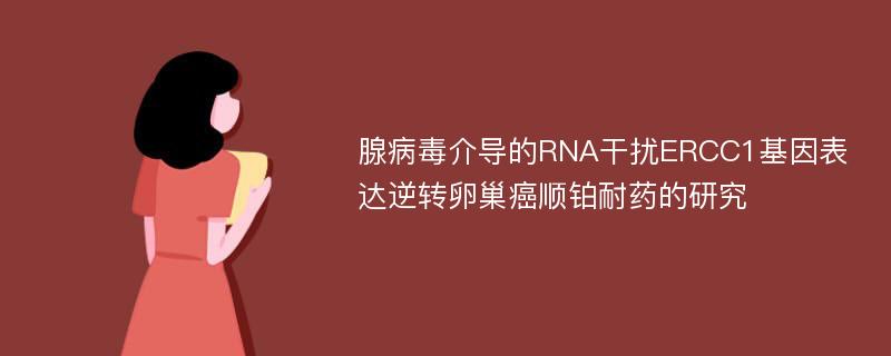 腺病毒介导的RNA干扰ERCC1基因表达逆转卵巢癌顺铂耐药的研究