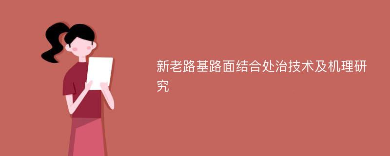 新老路基路面结合处治技术及机理研究