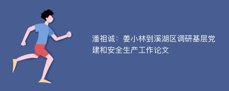 潘祖诚：姜小林到溪湖区调研基层党建和安全生产工作论文