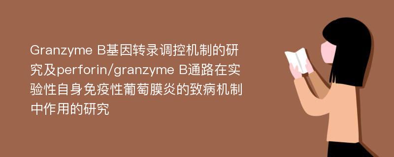 Granzyme B基因转录调控机制的研究及perforin/granzyme B通路在实验性自身免疫性葡萄膜炎的致病机制中作用的研究