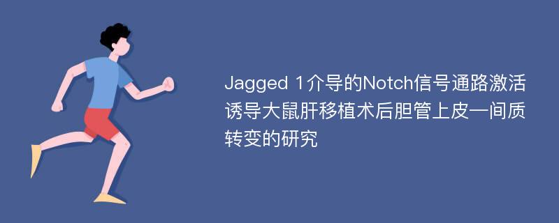 Jagged 1介导的Notch信号通路激活诱导大鼠肝移植术后胆管上皮—间质转变的研究