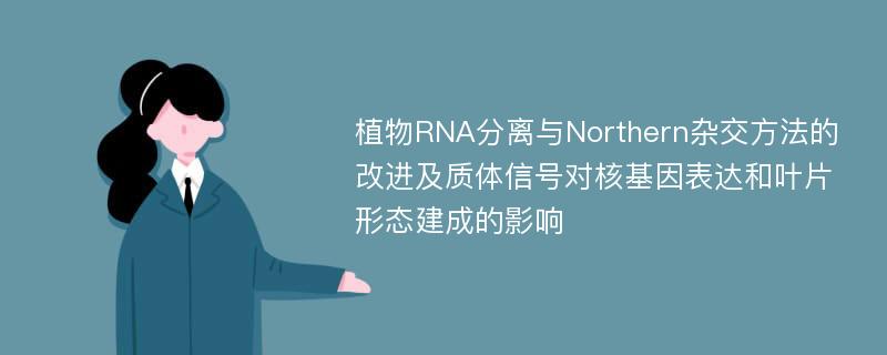 植物RNA分离与Northern杂交方法的改进及质体信号对核基因表达和叶片形态建成的影响