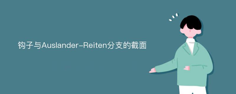 钩子与Auslander-Reiten分支的截面