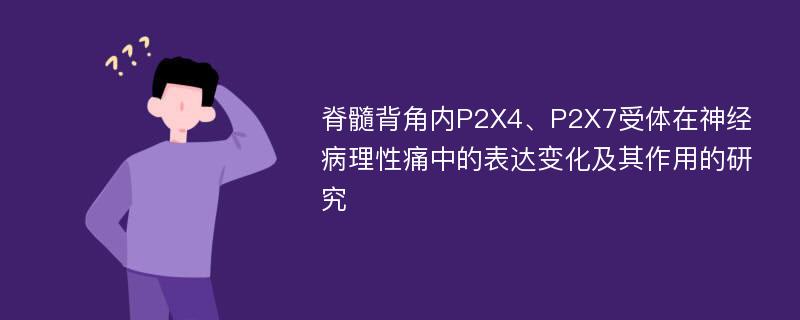 脊髓背角内P2X4、P2X7受体在神经病理性痛中的表达变化及其作用的研究