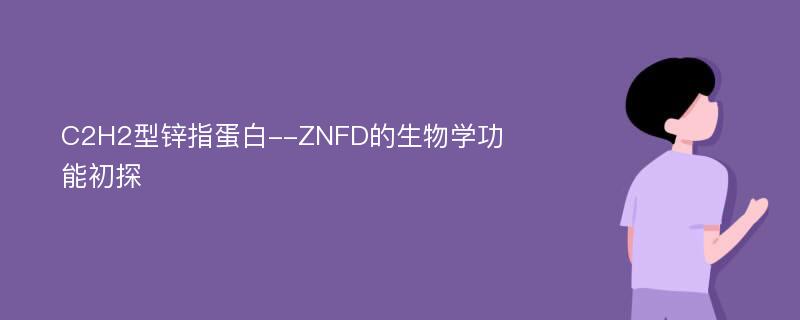 C2H2型锌指蛋白--ZNFD的生物学功能初探