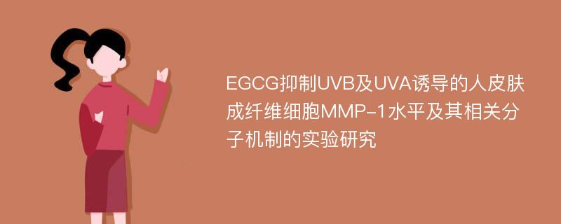 EGCG抑制UVB及UVA诱导的人皮肤成纤维细胞MMP-1水平及其相关分子机制的实验研究