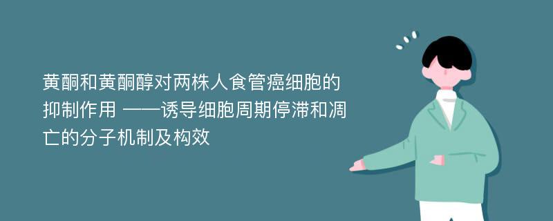 黄酮和黄酮醇对两株人食管癌细胞的抑制作用 ——诱导细胞周期停滞和凋亡的分子机制及构效