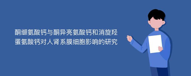 酮缬氨酸钙与酮异亮氨酸钙和消旋羟蛋氨酸钙对人肾系膜细胞影响的研究