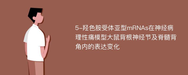 5-羟色胺受体亚型mRNAs在神经病理性痛模型大鼠背根神经节及脊髓背角内的表达变化