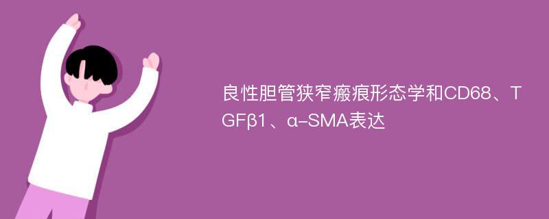 良性胆管狭窄瘢痕形态学和CD68、TGFβ1、α-SMA表达