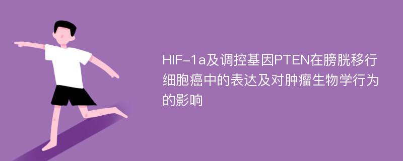 HIF-1a及调控基因PTEN在膀胱移行细胞癌中的表达及对肿瘤生物学行为的影响