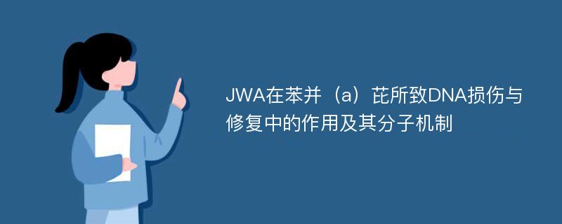 JWA在苯并（a）芘所致DNA损伤与修复中的作用及其分子机制