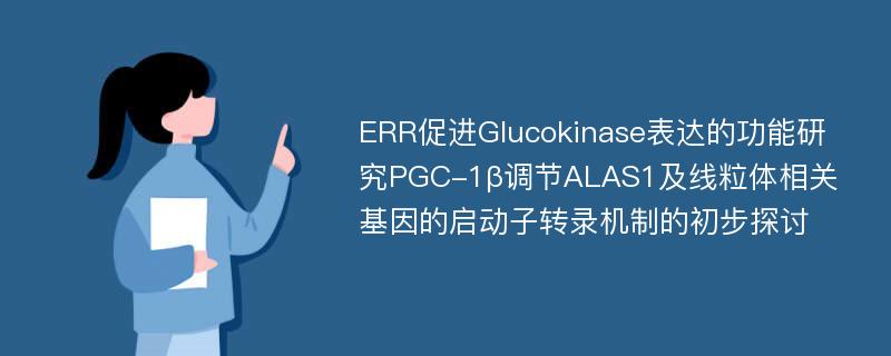 ERR促进Glucokinase表达的功能研究PGC-1β调节ALAS1及线粒体相关基因的启动子转录机制的初步探讨