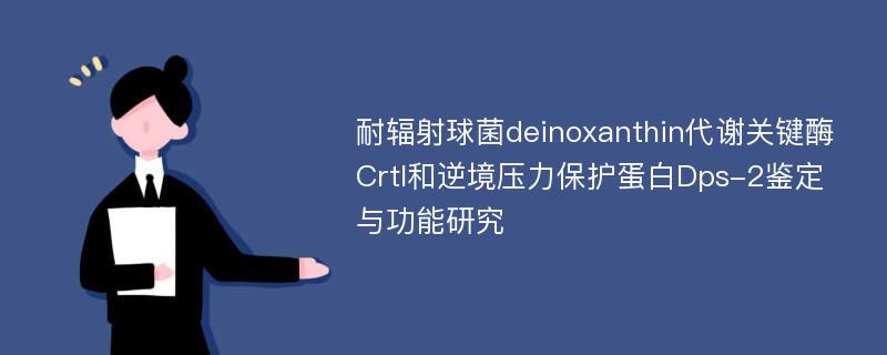 耐辐射球菌deinoxanthin代谢关键酶CrtI和逆境压力保护蛋白Dps-2鉴定与功能研究