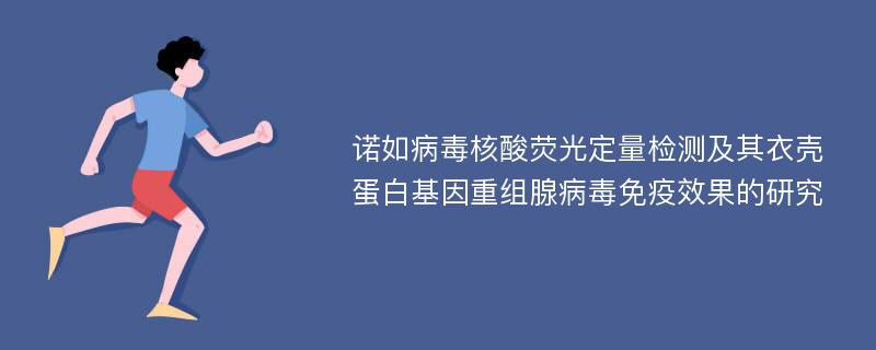 诺如病毒核酸荧光定量检测及其衣壳蛋白基因重组腺病毒免疫效果的研究