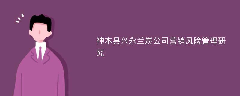 神木县兴永兰炭公司营销风险管理研究