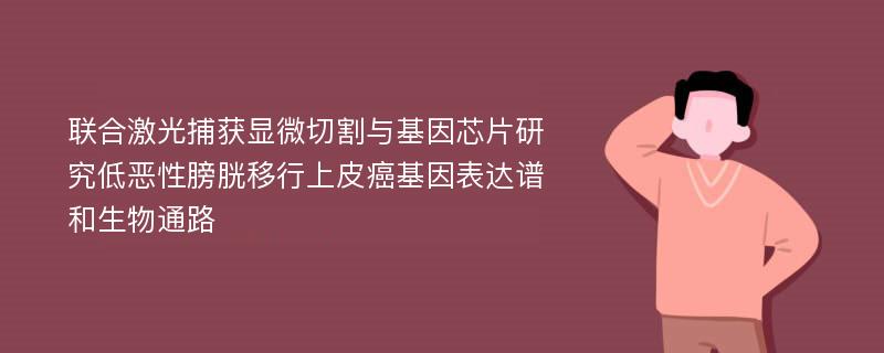 联合激光捕获显微切割与基因芯片研究低恶性膀胱移行上皮癌基因表达谱和生物通路