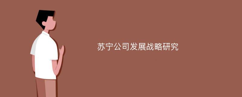 苏宁公司发展战略研究