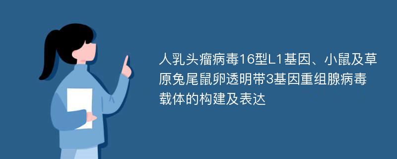 人乳头瘤病毒16型L1基因、小鼠及草原兔尾鼠卵透明带3基因重组腺病毒载体的构建及表达