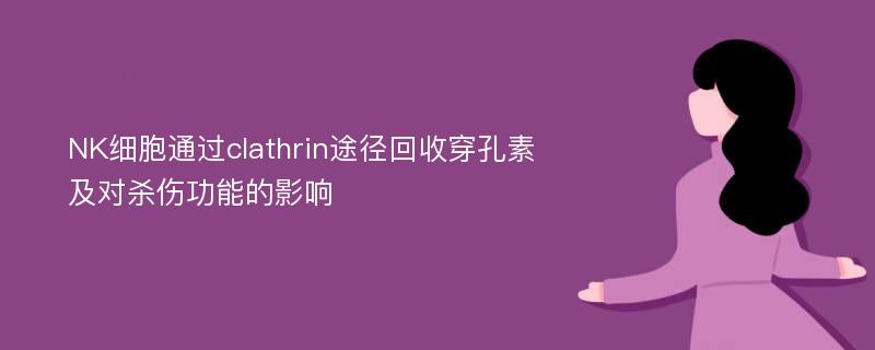 NK细胞通过clathrin途径回收穿孔素及对杀伤功能的影响