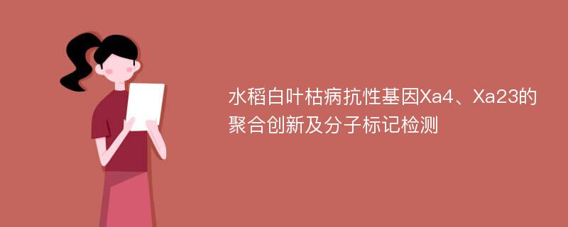 水稻白叶枯病抗性基因Xa4、Xa23的聚合创新及分子标记检测